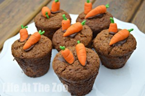 Carrot Cupcake Recipe