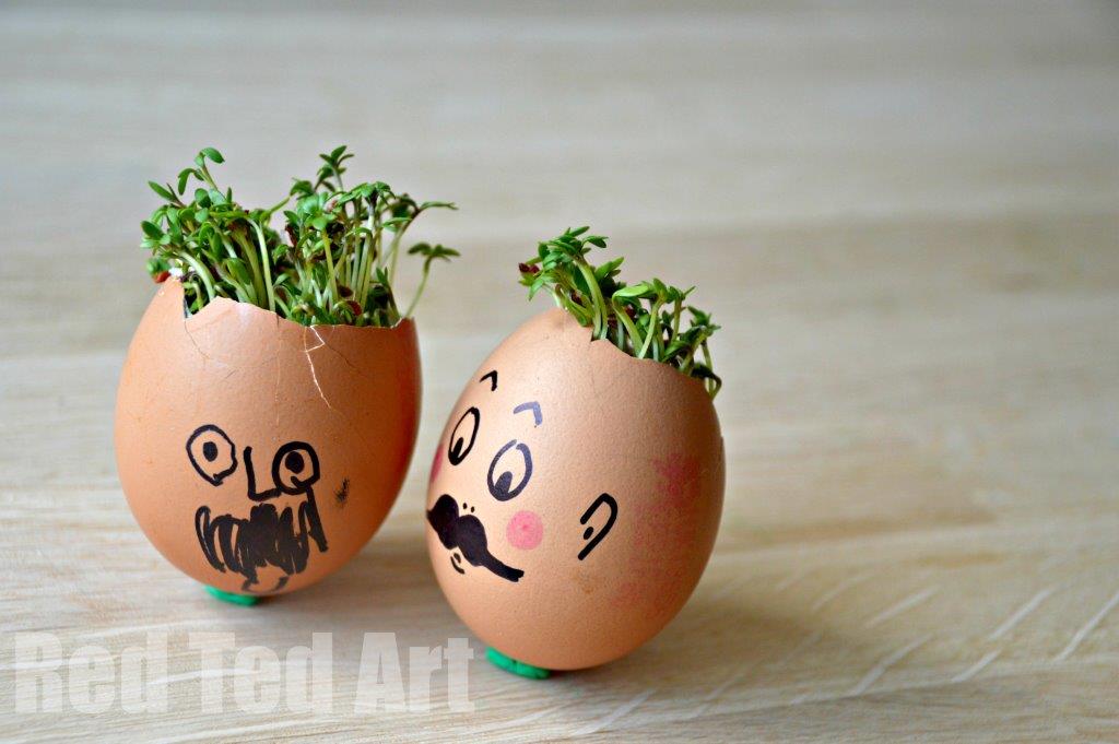 Cress Head Activity for Spring