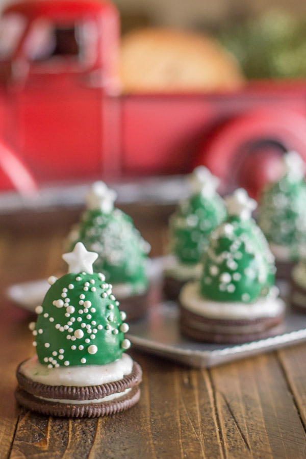 Chocolate-Covered-Strawberry-Christmas-Trees-3