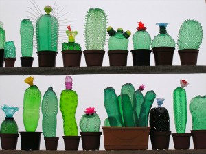 recycled bottle - Cactus crafts